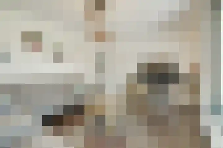 Meistraat 24 Neerkant thumbnail 10