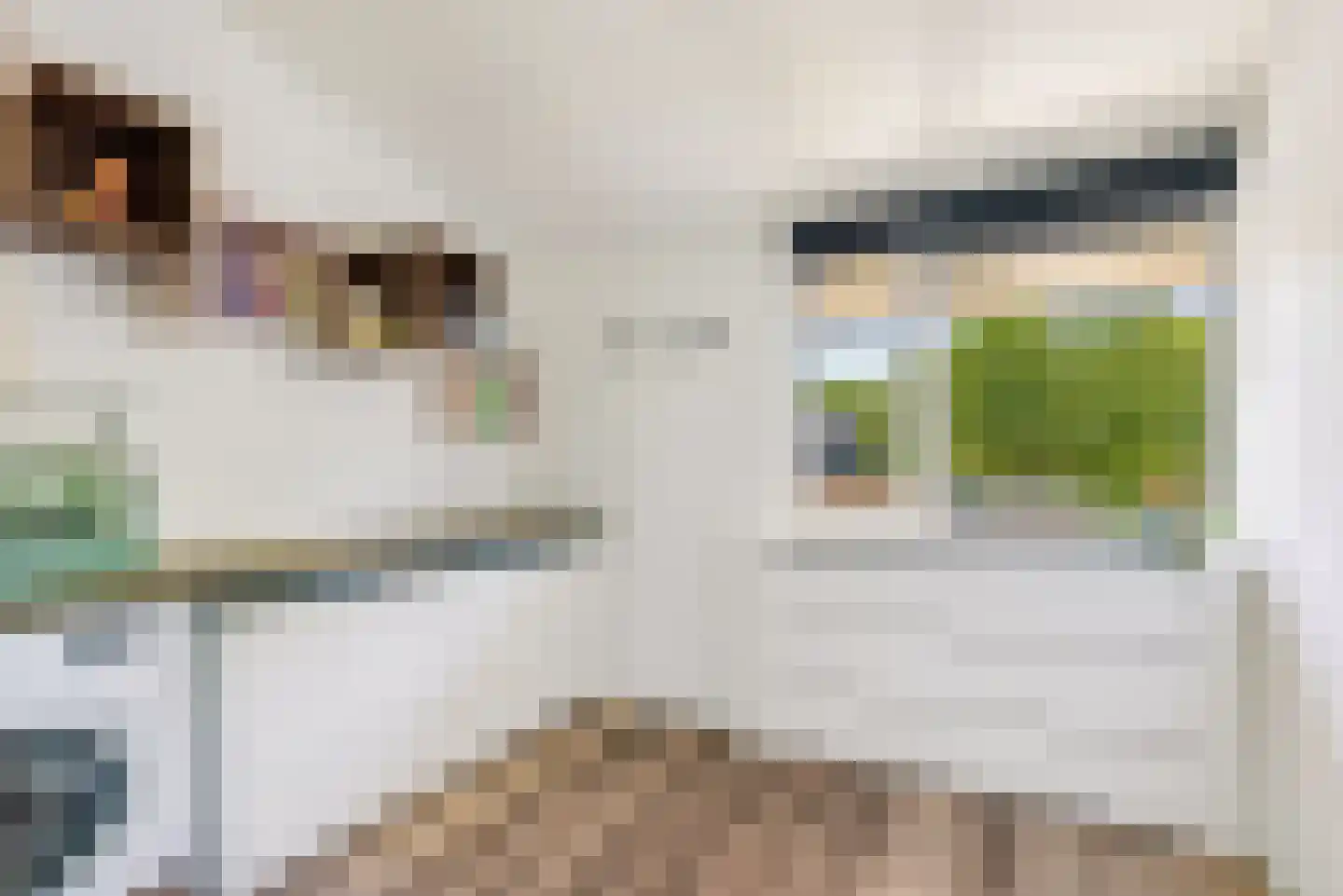 Meistraat 46 Almere thumbnail 33
