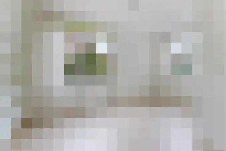 Meiveld 1 Oost-Souburg thumbnail 14