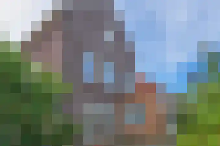 Meiveld 1 Oost-Souburg thumbnail 32