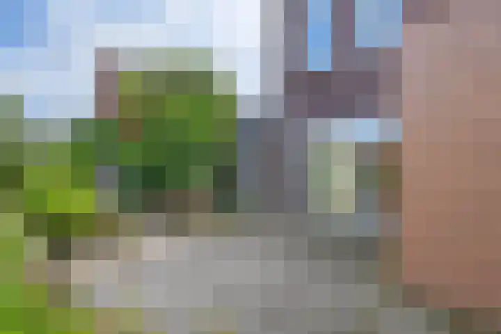 Meiveld 1 Oost-Souburg thumbnail 34