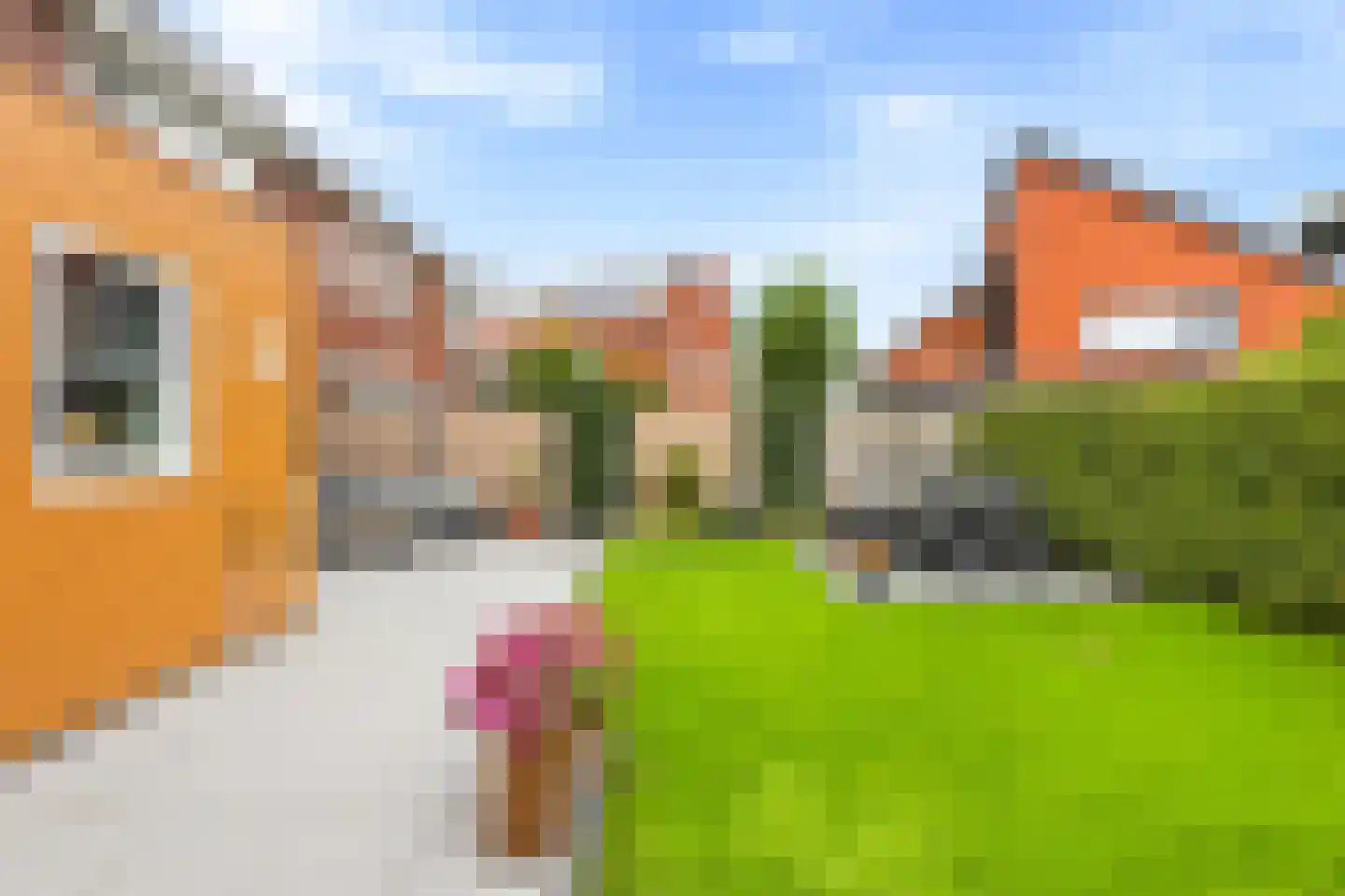 Meiveld 23 Oost-Souburg thumbnail 26