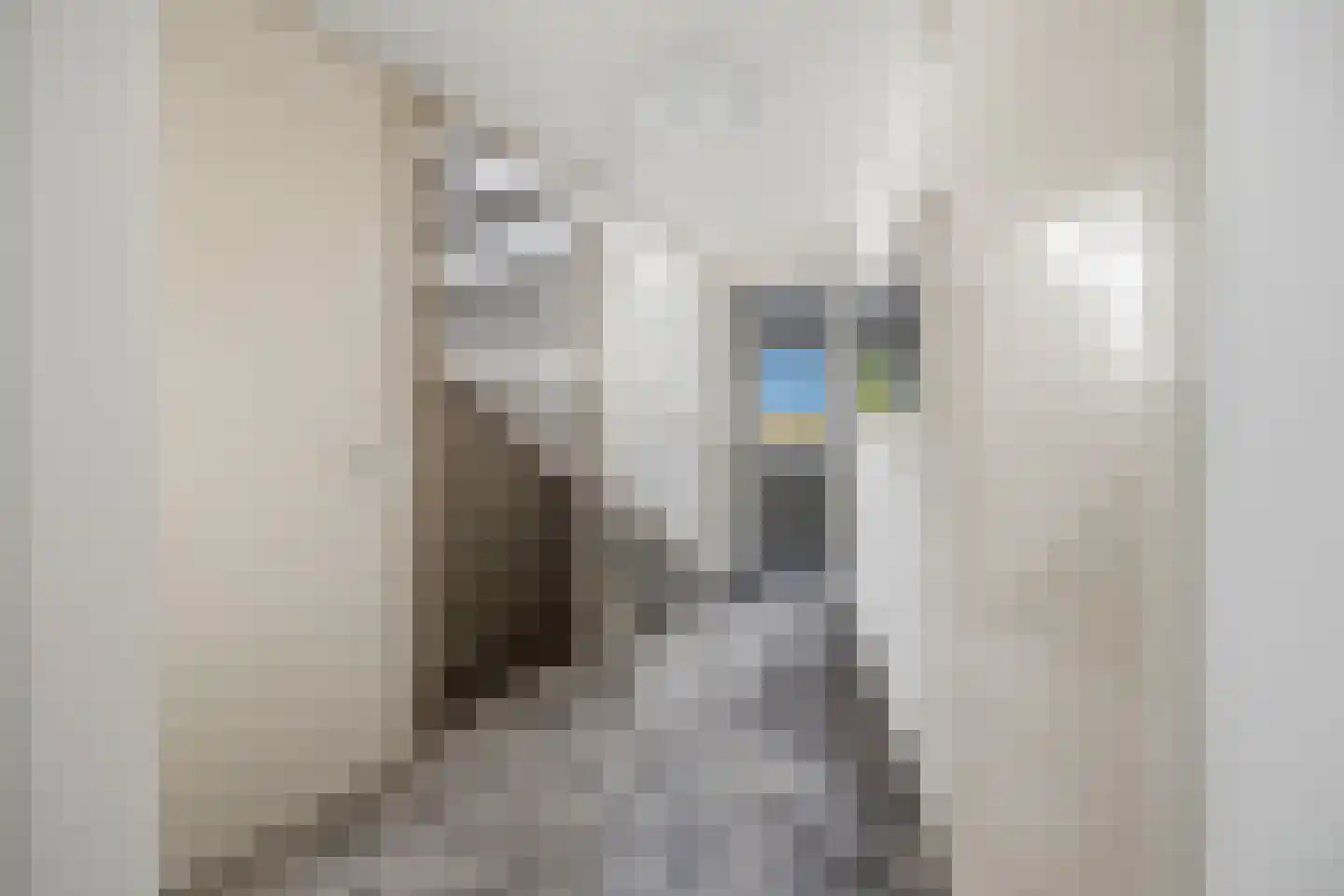 Meivliegsingel 21 Den Haag thumbnail 21