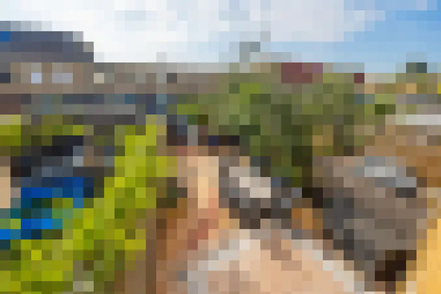 Meivliegsingel 21 Den Haag thumbnail 26