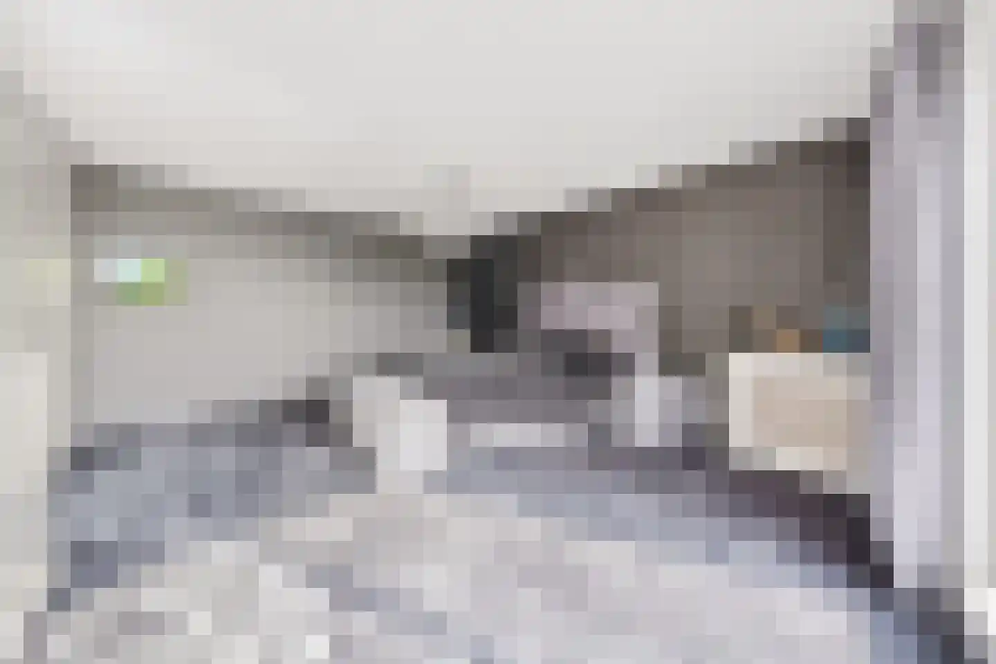 Meivliegsingel 21 Den Haag thumbnail 32