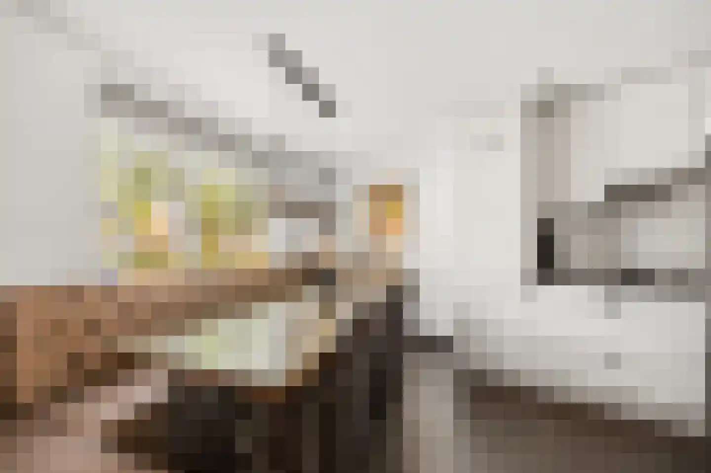 Meivliegsingel 21 Den Haag thumbnail 4