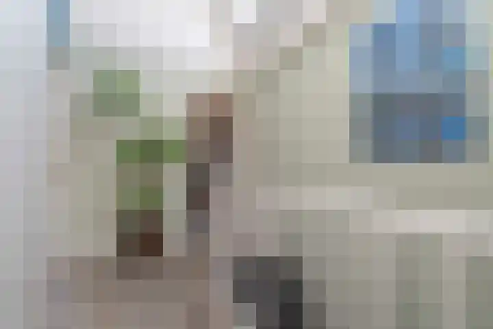Meivlinderstraat 14 Veenendaal thumbnail 15