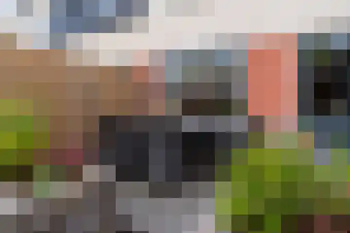 Meivlinderstraat 14 Veenendaal thumbnail 30