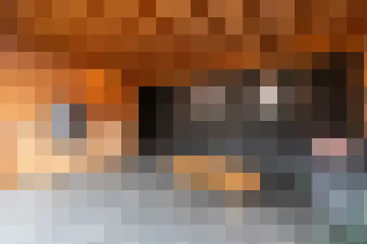 Meivlinderstraat 14 Veenendaal thumbnail 32