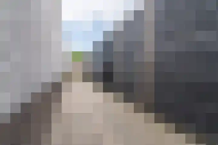 Meivlinderstraat 14 Veenendaal thumbnail 36