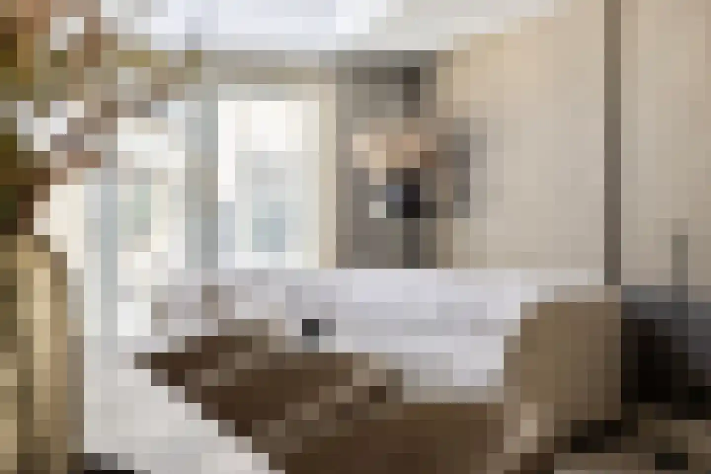 Meivlinderstraat 6 Veenendaal thumbnail 11