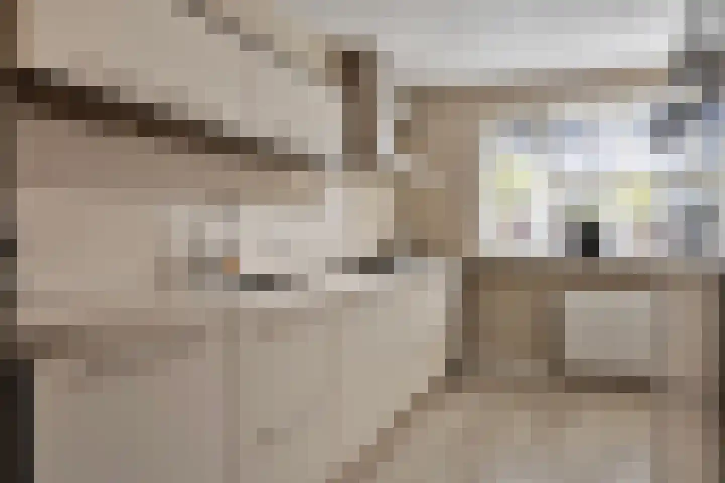 Meivlinderstraat 6 Veenendaal thumbnail 14