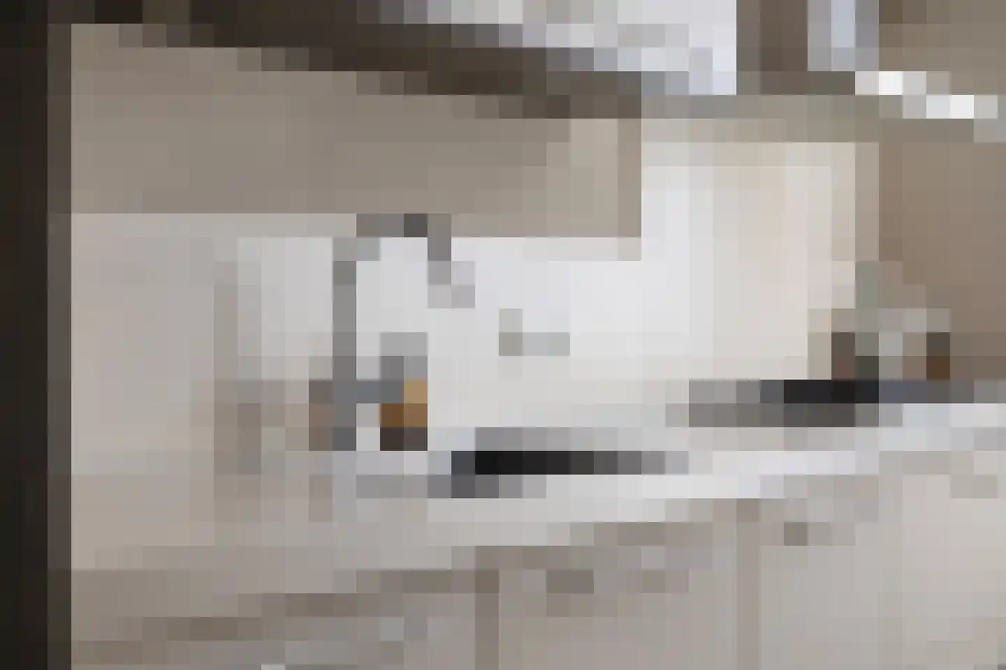 Meivlinderstraat 6 Veenendaal thumbnail 15