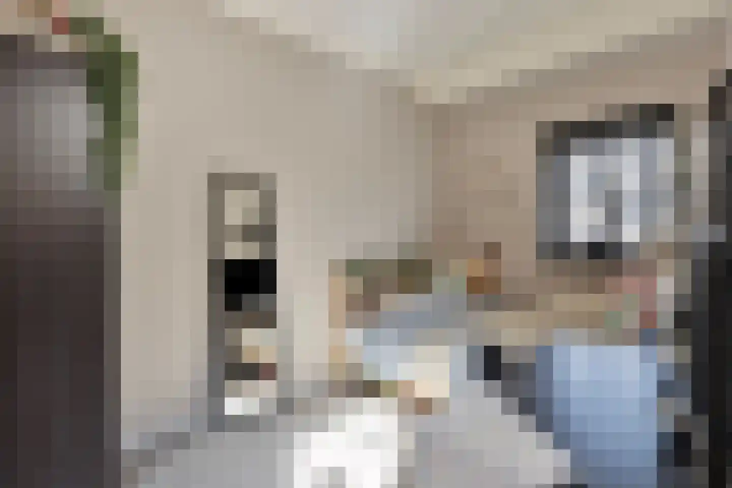 Meivlinderstraat 6 Veenendaal thumbnail 23