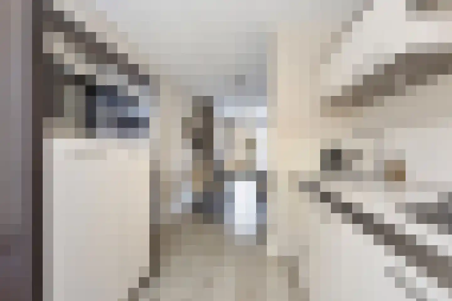 Meivlinderstraat 6 Veenendaal thumbnail 4