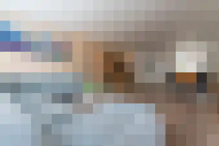 Meivlinderstraat 8 Veenendaal thumbnail 10