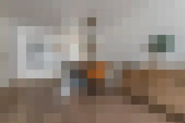 Meivlinderstraat 8 Veenendaal thumbnail 11