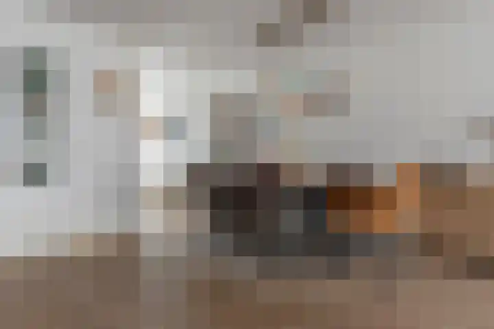 Meivlinderstraat 8 Veenendaal thumbnail 13