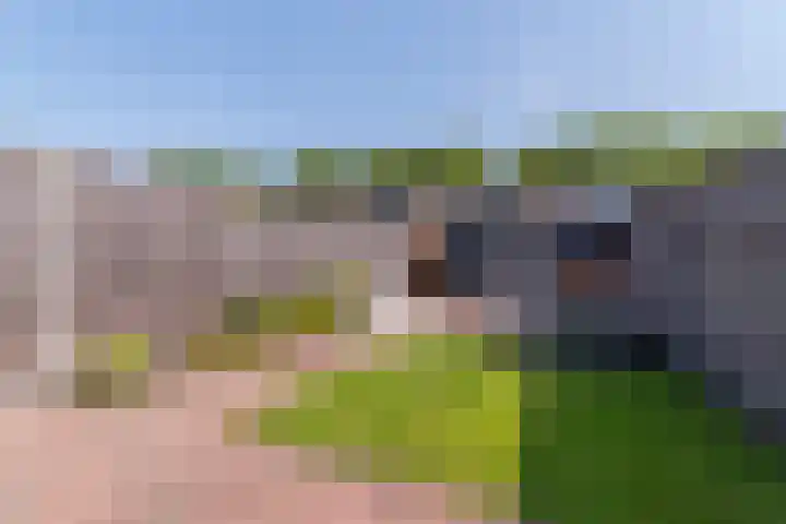 Meivlinderstraat 8 Veenendaal thumbnail 30