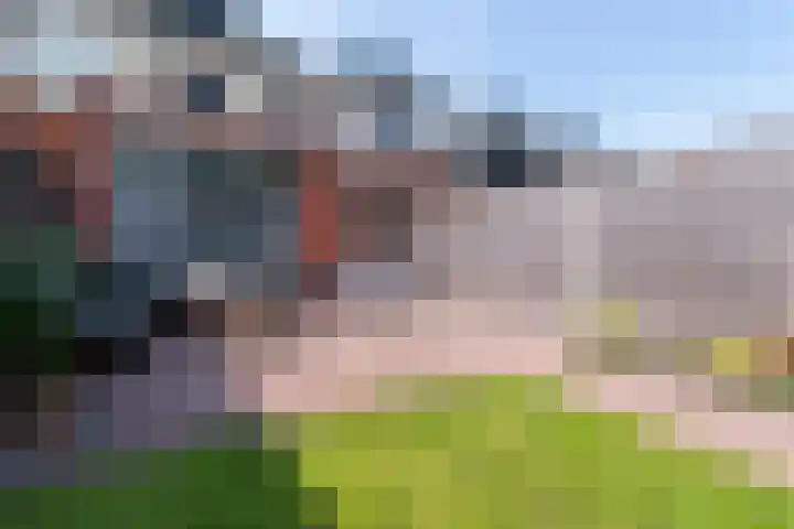 Meivlinderstraat 8 Veenendaal thumbnail 32