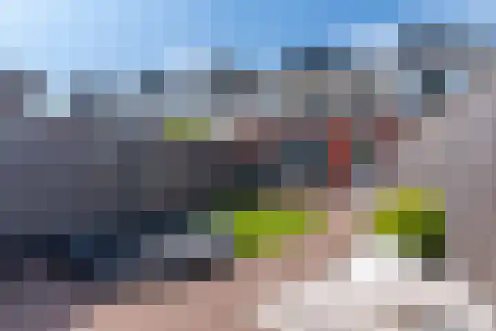 Meivlinderstraat 8 Veenendaal thumbnail 33