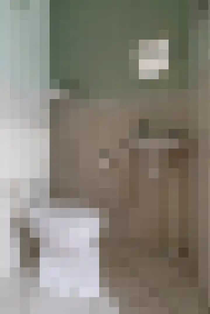 Meivlinderstraat 8 Veenendaal thumbnail 6