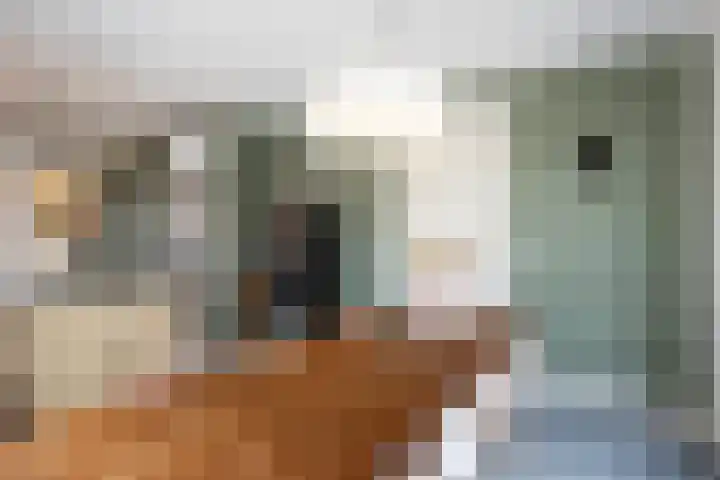 Meiweg 19 Geesteren thumbnail 27