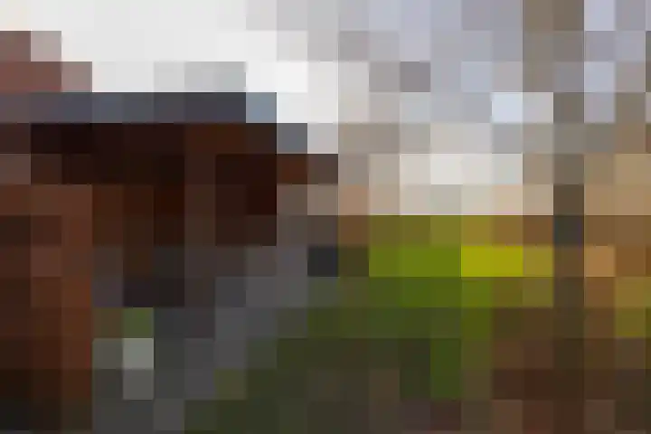 Meiweg 19 Geesteren thumbnail 61