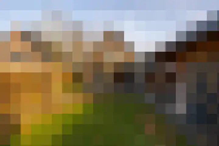 Meiweg 19 Geesteren thumbnail 62