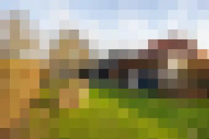 Meiweg 19 Geesteren thumbnail 63