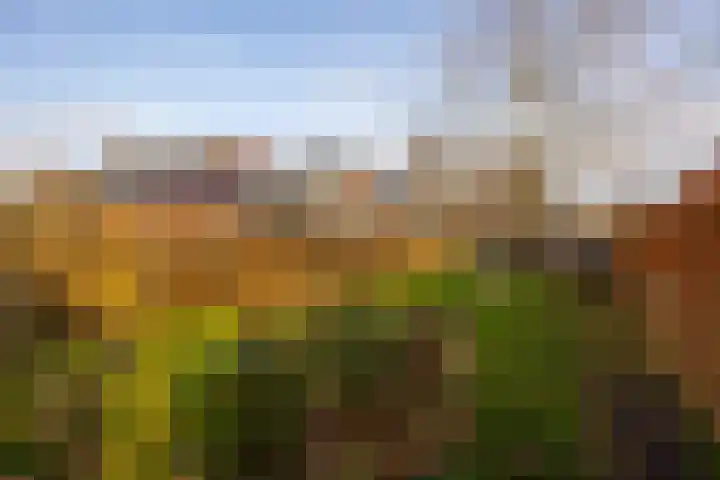 Meiweg 19 Geesteren thumbnail 64