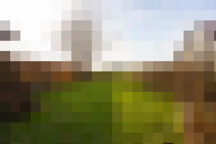 Meiweg 19 Geesteren thumbnail 65