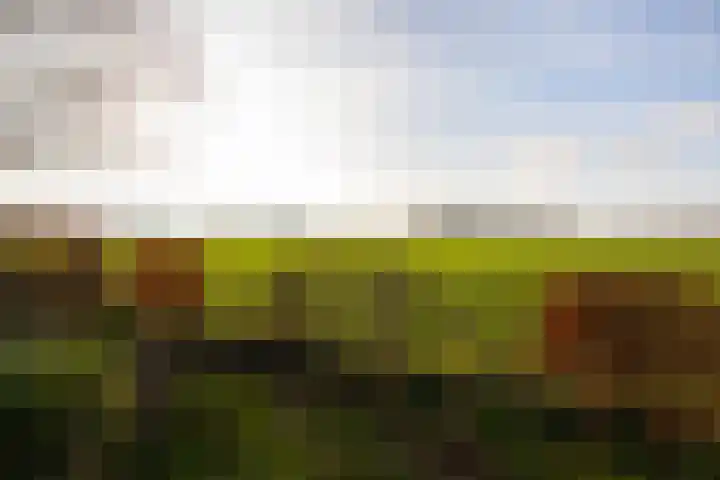 Meiweg 19 Geesteren thumbnail 68