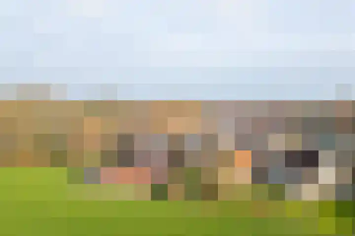 Meiweg 19 Geesteren thumbnail 69