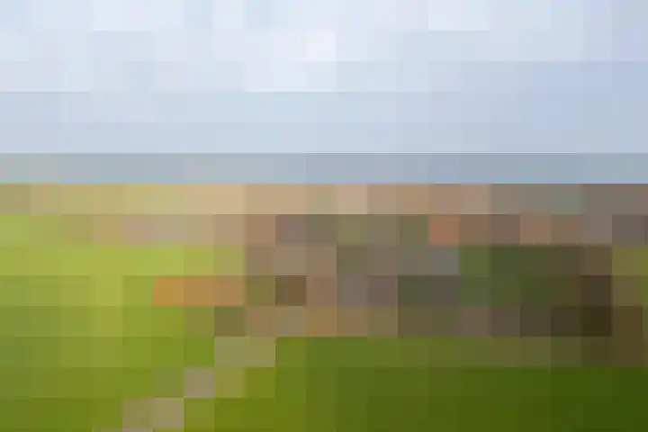Meiweg 19 Geesteren thumbnail 73