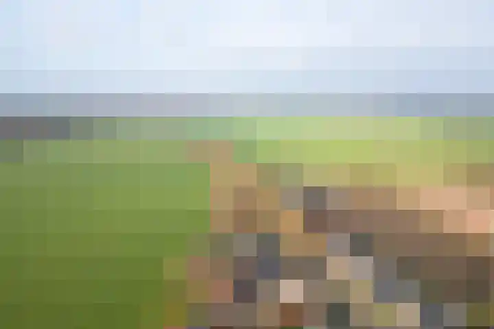 Meiweg 19 Geesteren thumbnail 76