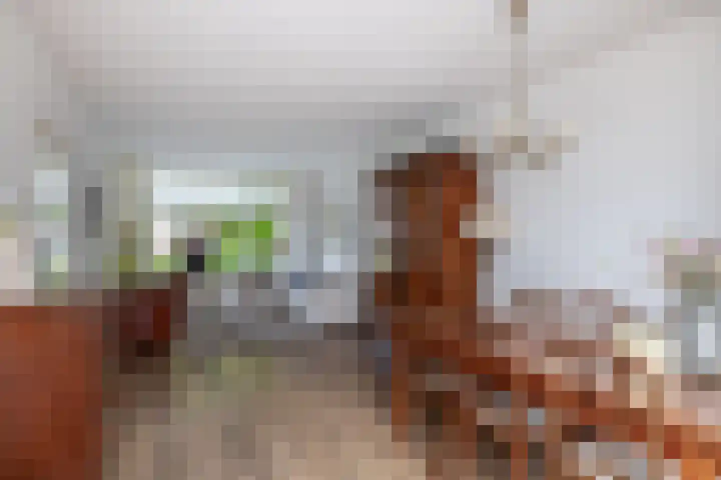 Mej. N. Schipperstraat 6 Oud-Beijerland thumbnail 14