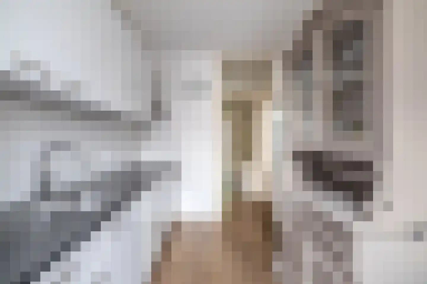 Mej. N. Schipperstraat 6 Oud-Beijerland thumbnail 17