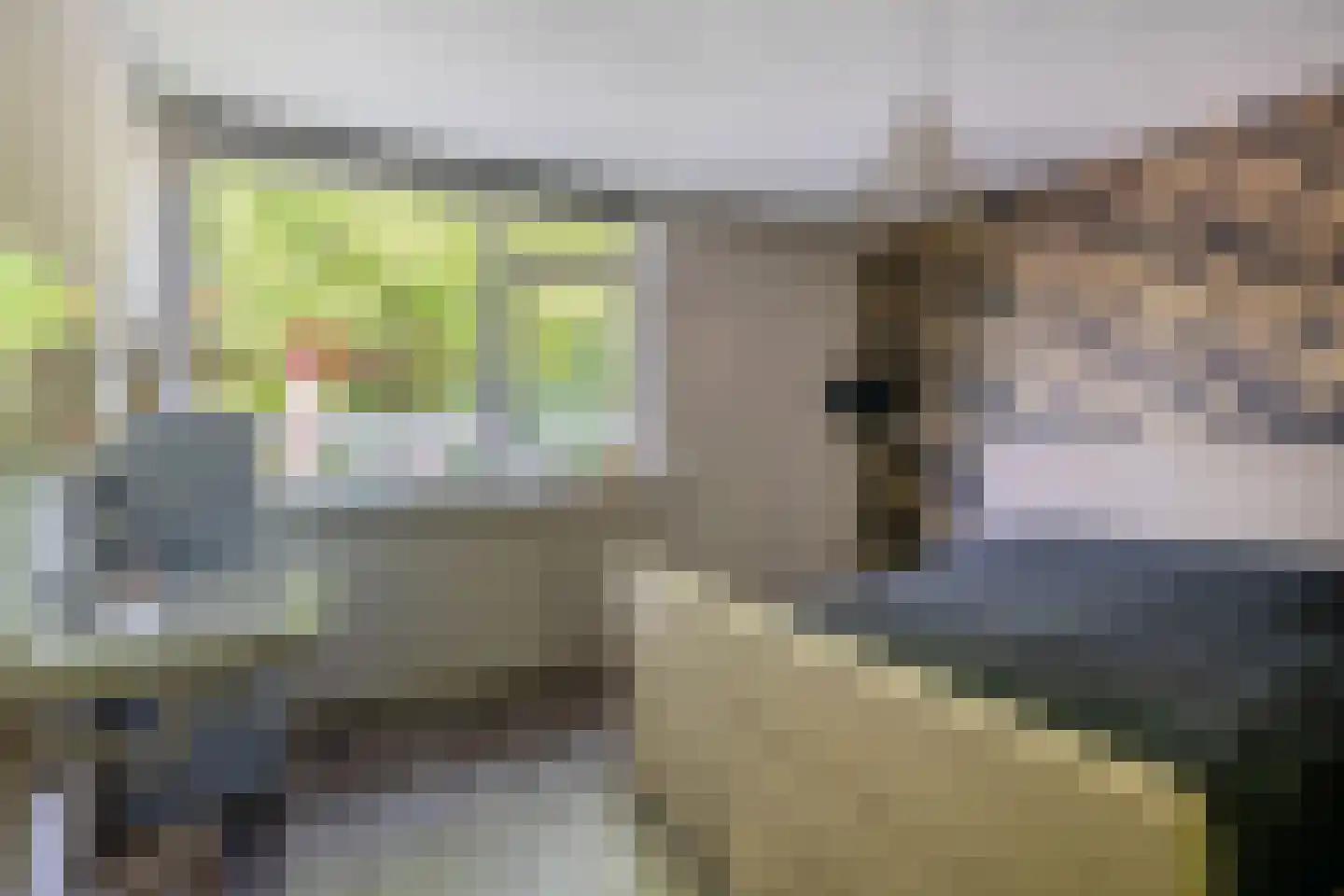 Mej. N. Schipperstraat 6 Oud-Beijerland thumbnail 20