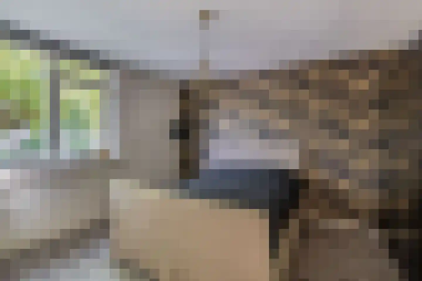 Mej. N. Schipperstraat 6 Oud-Beijerland thumbnail 21