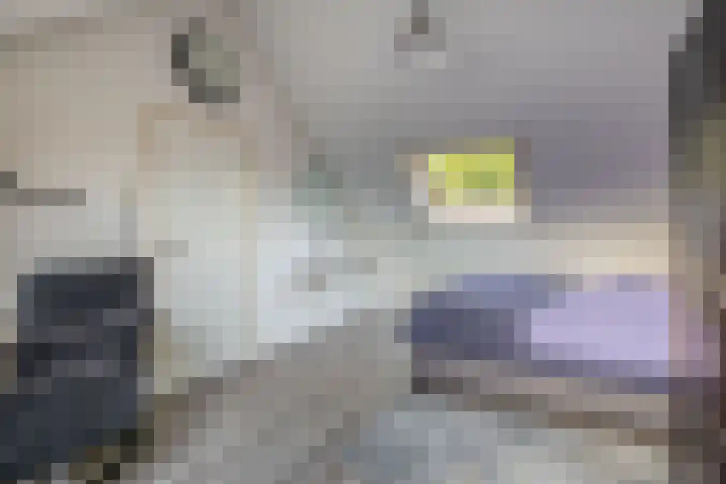 Mej. N. Schipperstraat 6 Oud-Beijerland thumbnail 27