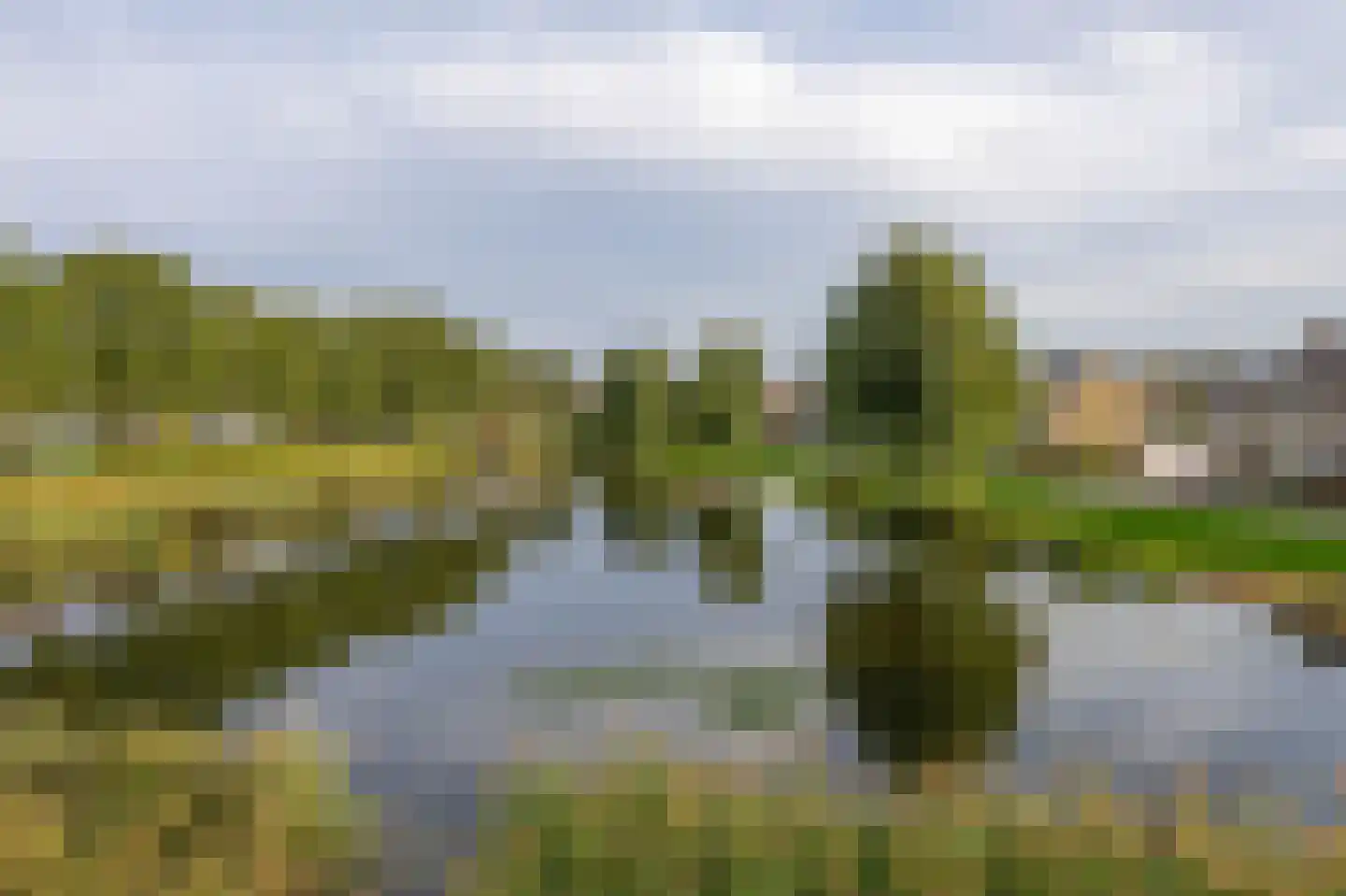 Mej. N. Schipperstraat 6 Oud-Beijerland thumbnail 36