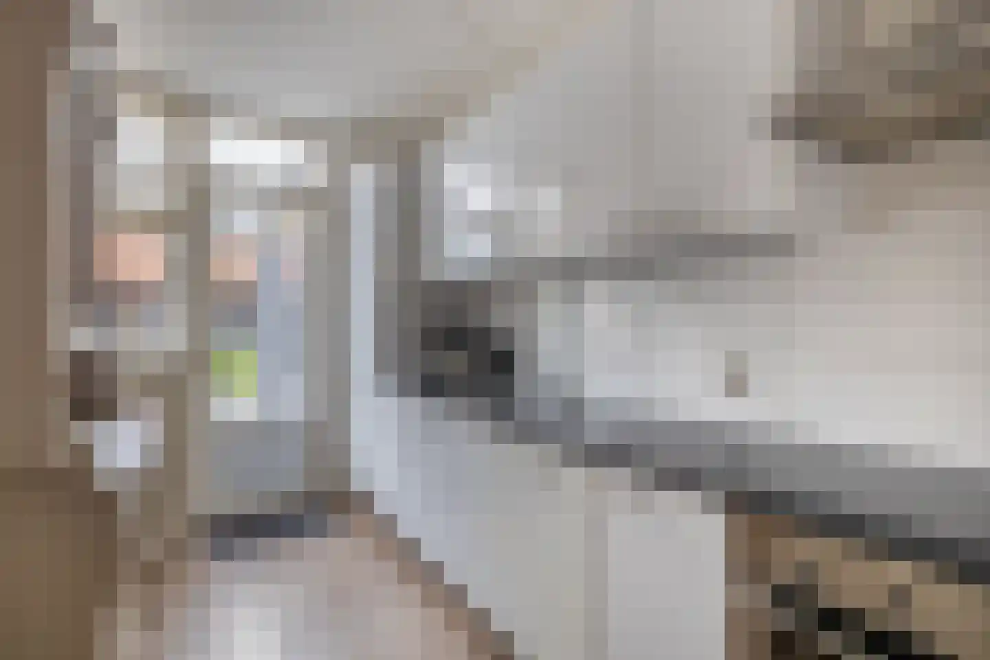 Mej. N. Schipperstraat 6 Oud-Beijerland thumbnail 4