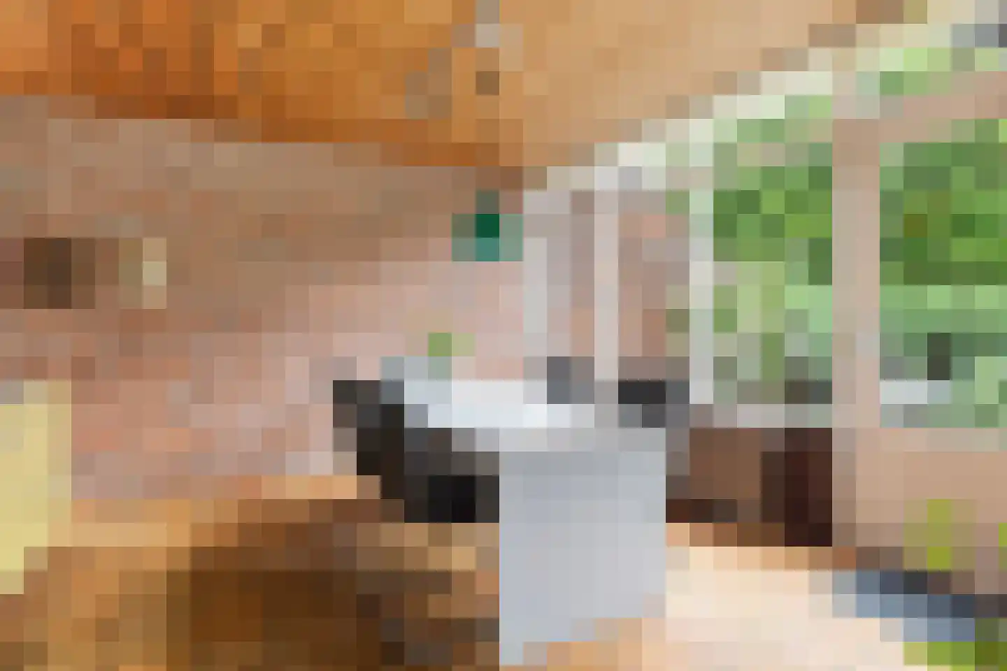 Mejontsmastraat 10 Buitenpost thumbnail 12