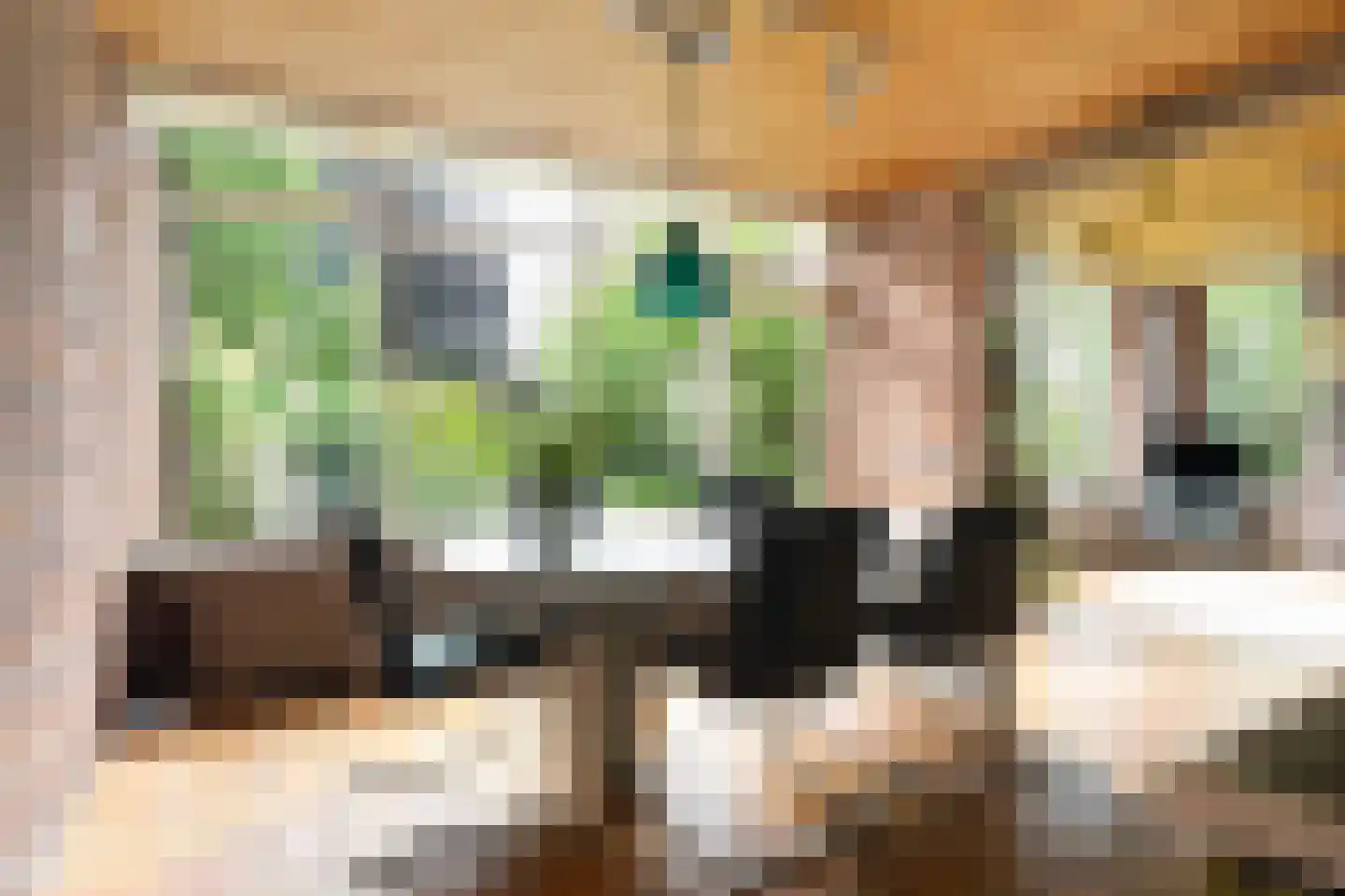 Mejontsmastraat 10 Buitenpost thumbnail 14