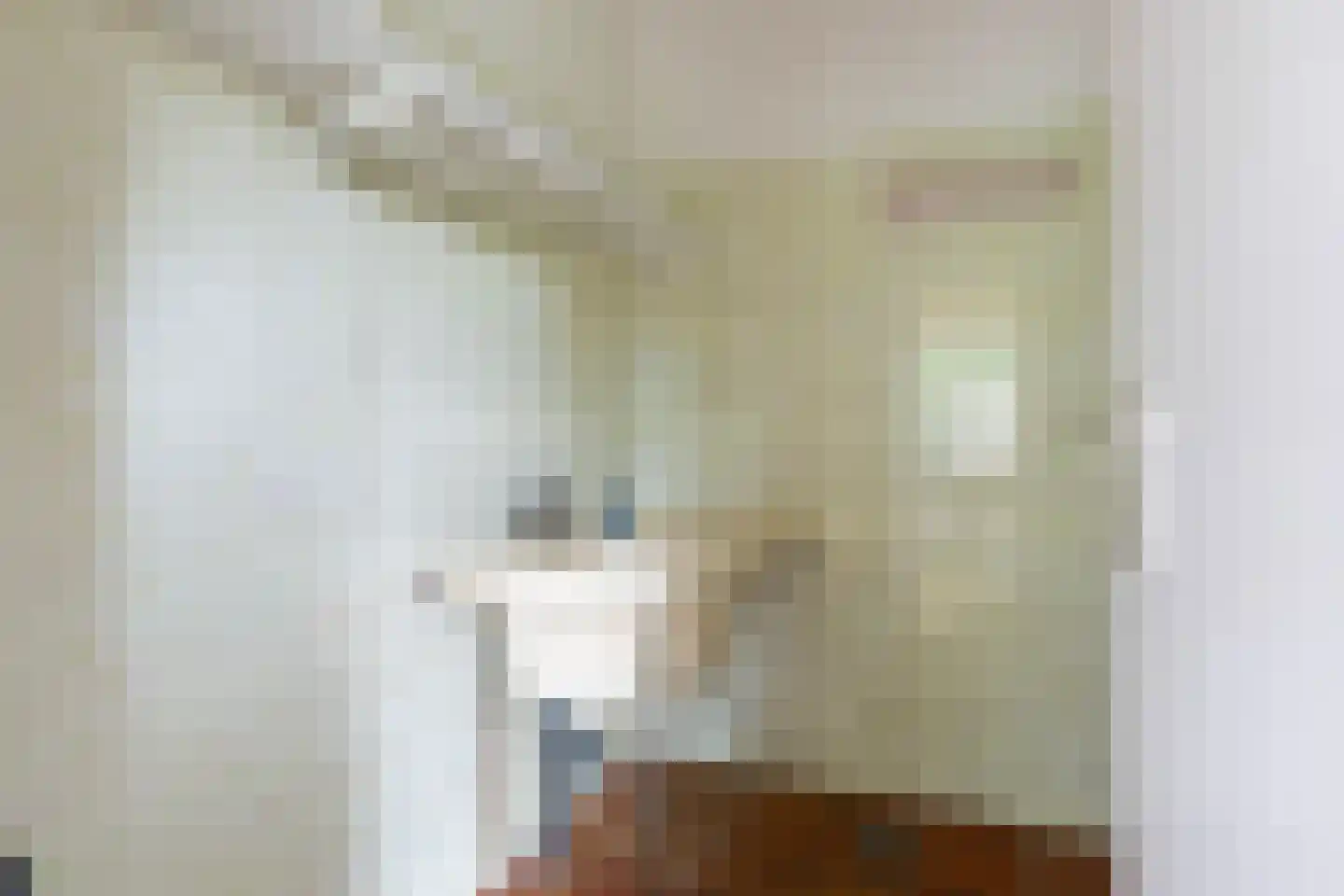 Mejontsmastraat 10 Buitenpost thumbnail 16