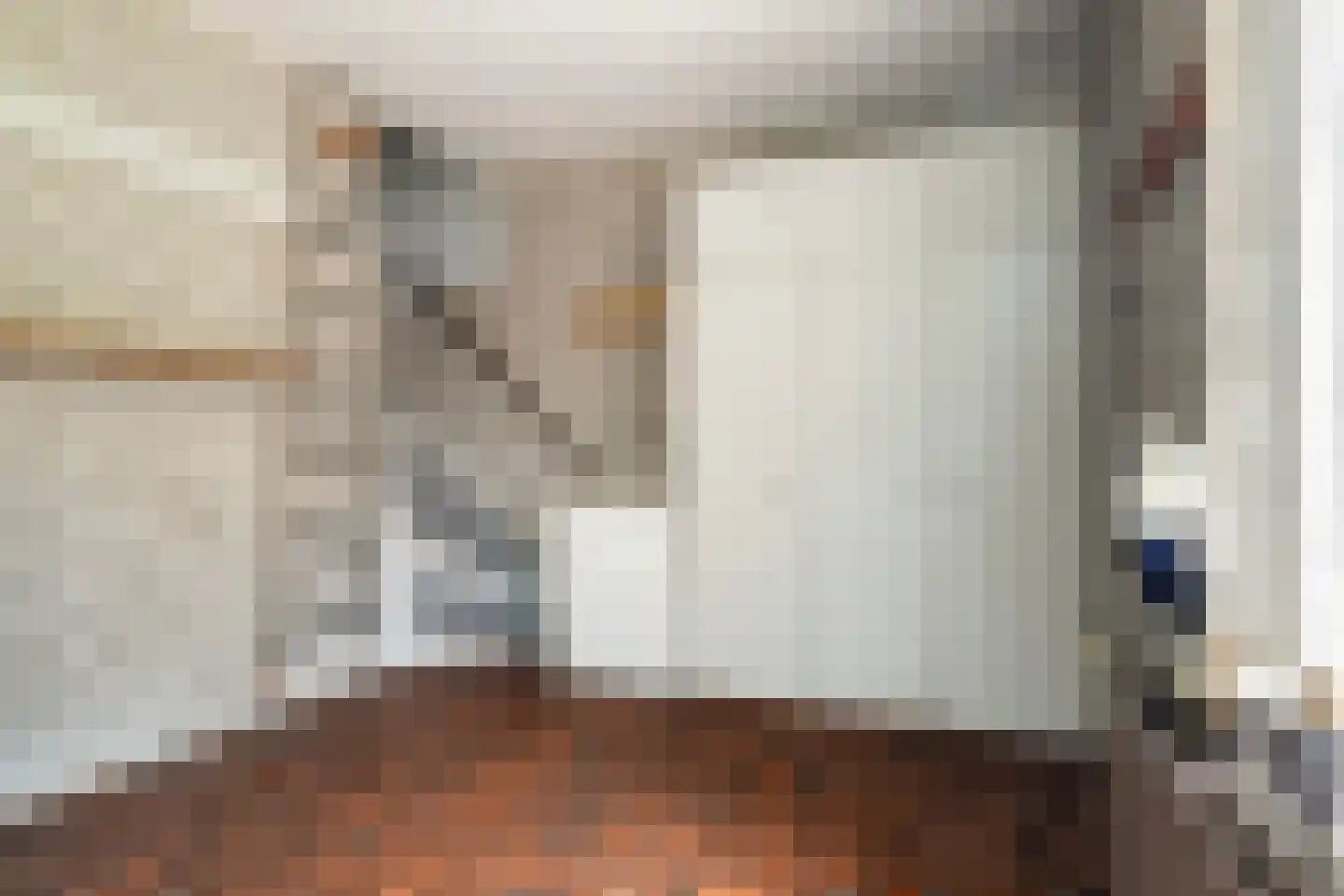 Mejontsmastraat 10 Buitenpost thumbnail 17