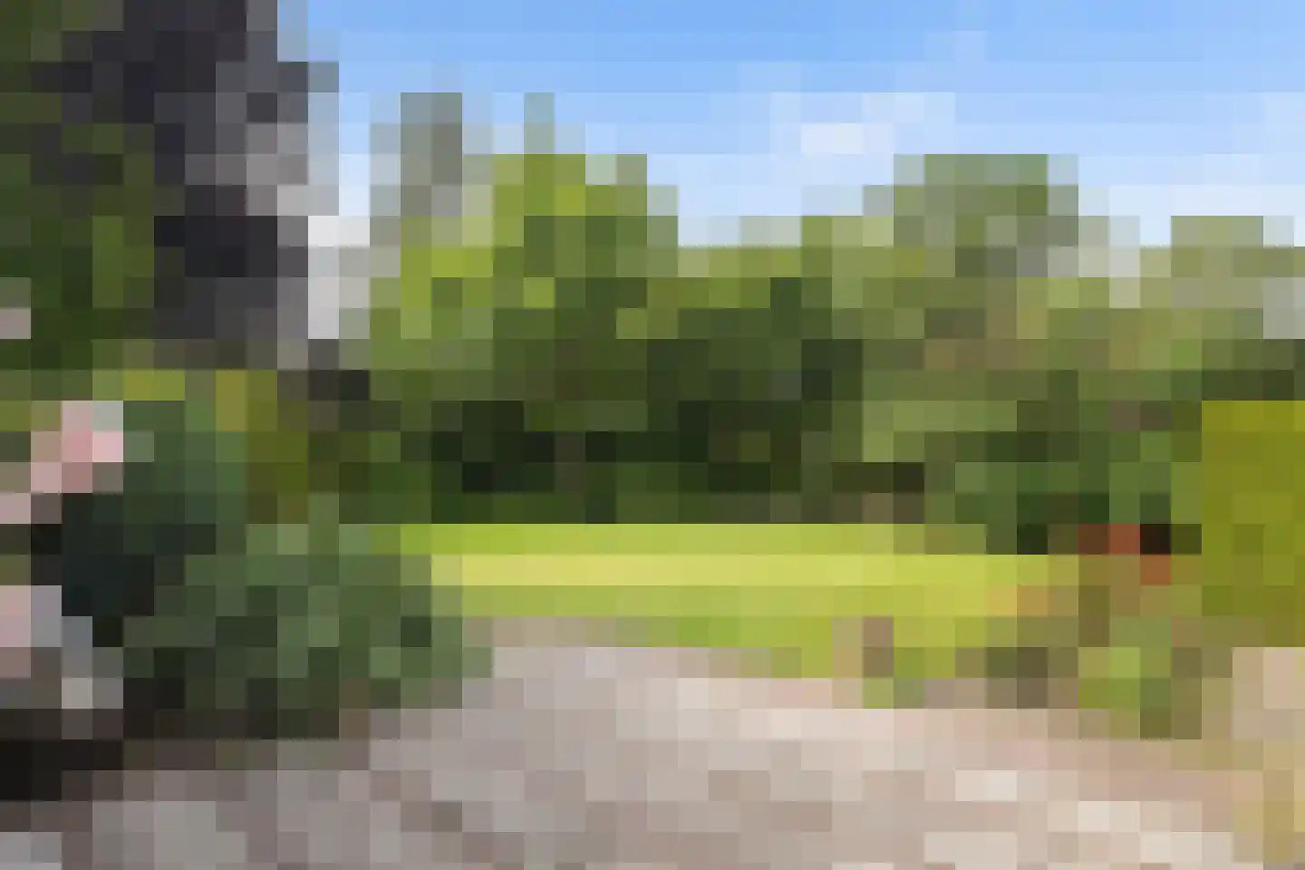 Mejontsmastraat 10 Buitenpost thumbnail 19