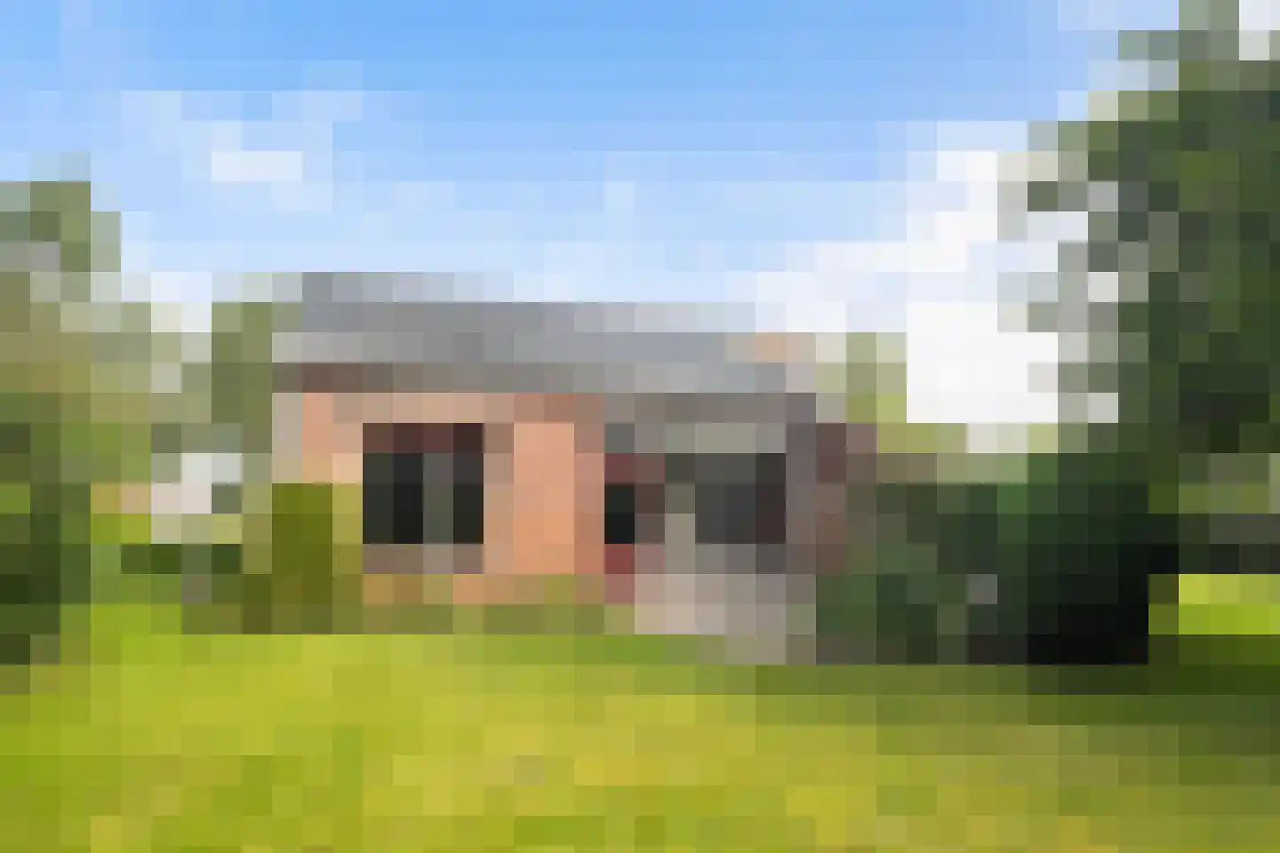 Mejontsmastraat 10 Buitenpost thumbnail 20