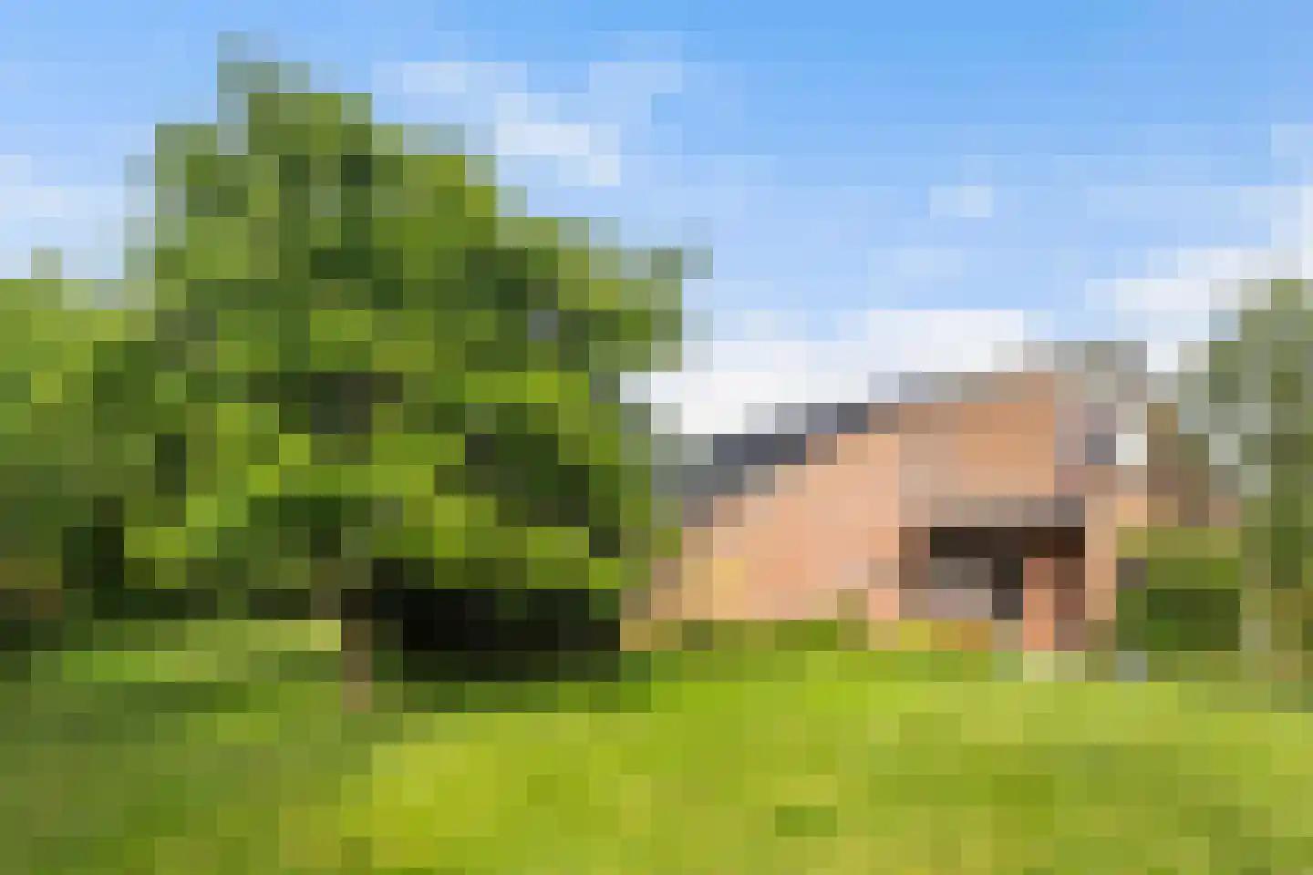 Mejontsmastraat 10 Buitenpost thumbnail 21